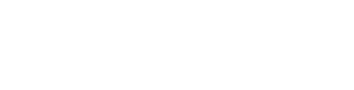 PANGO 2.0, a Mobile Smart City Company